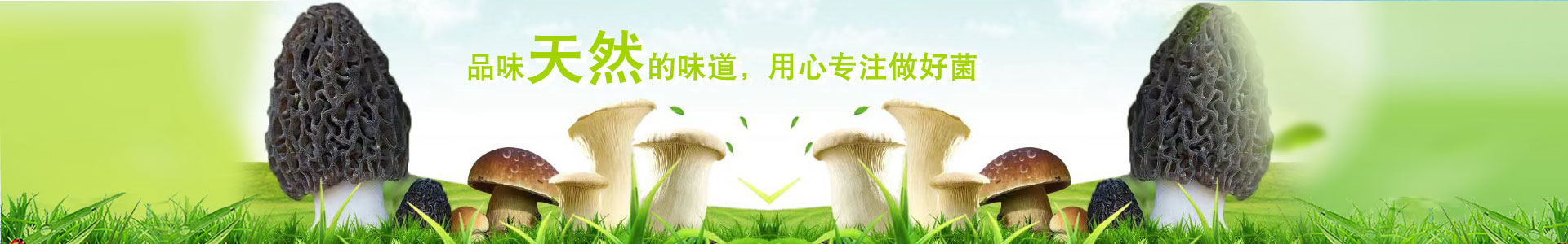 湖南君山萬雨合業生物科技有限公司